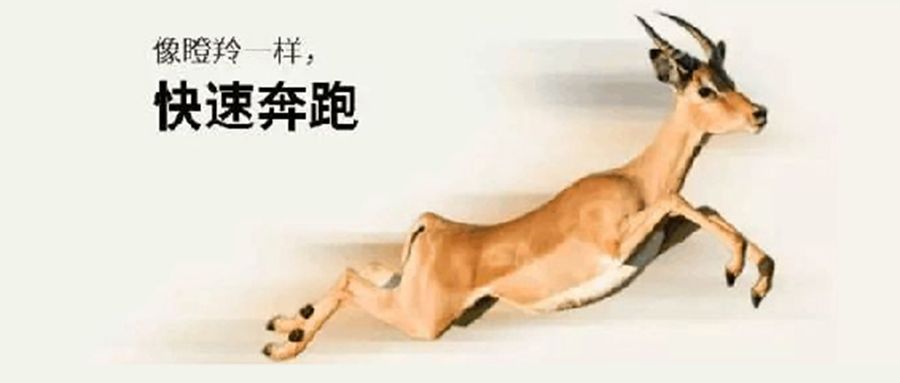 奥图喜获济南市瞪羚企业称号